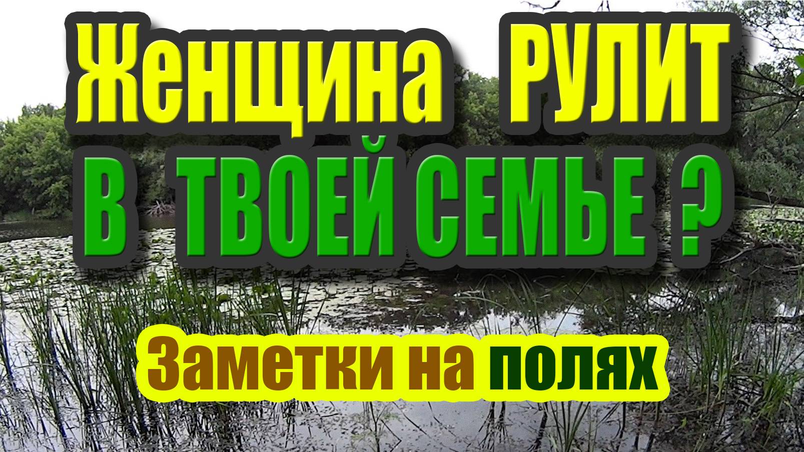 Двоевластие в семье. Женщина у руля. Семьи-победители и семьи-лузеры. Что делать?