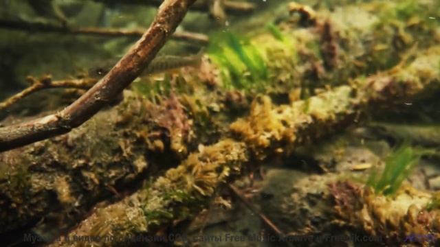 Виды становятся откровением при каждом новом аккорде - Lift It Up -- Ryan Andersen -- Pop Music