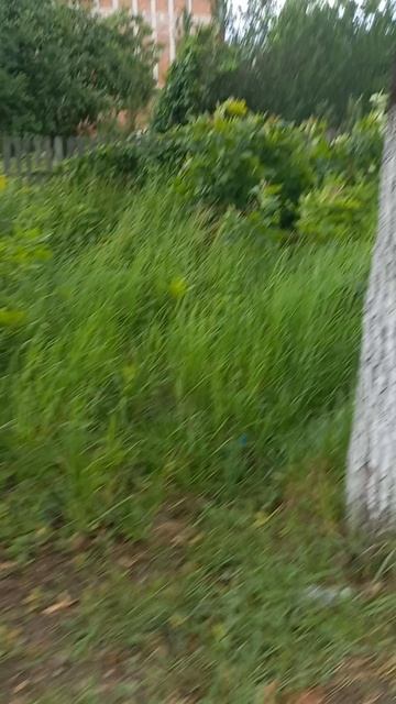 1000037704.mp4
