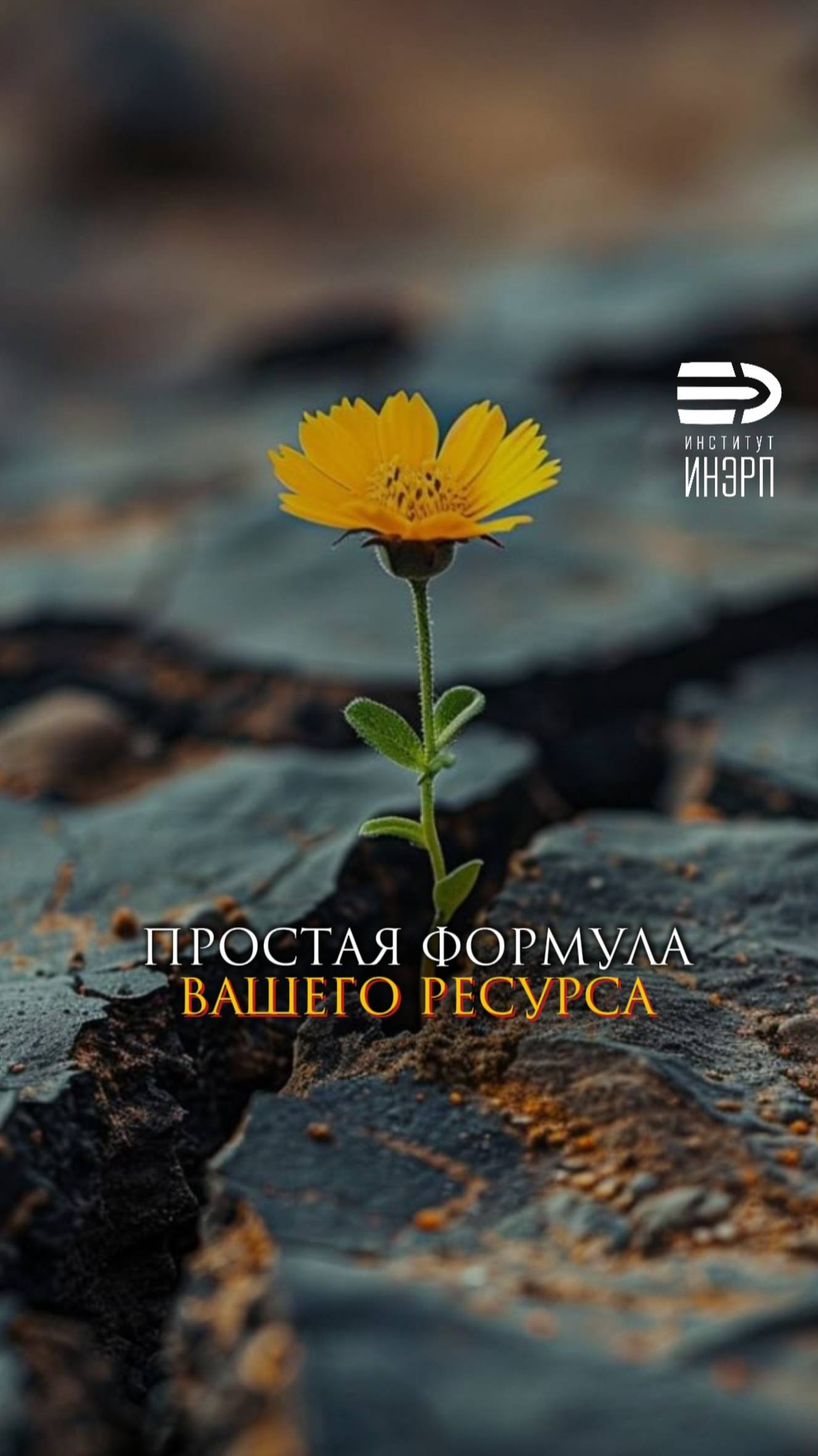 Простая формула вашего ресурса