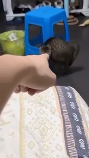 Вызов принят, человек😜
