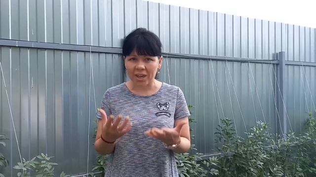 Отзыв о работе СК СобольДом - 25.08.2023