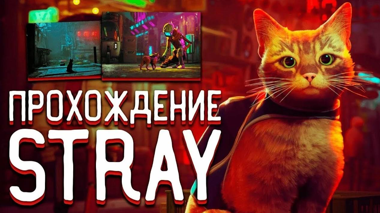 STRAY. Прохождение игры #1