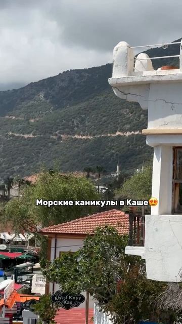Отзыв от нашей путешественницы🕊️