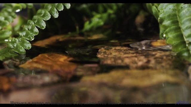 Пейзажи заставляют забыть про реальность с этим саундом - Reflejo -- Mar Virtual -- Mar Virtual 2