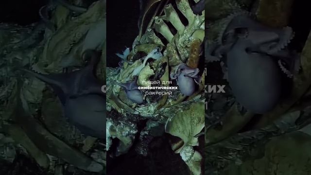 1000022273.mp4