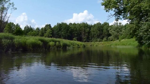 Река "Вад". (Мордовия)