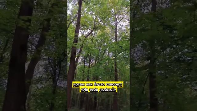 Аффирмации-настрой Любви