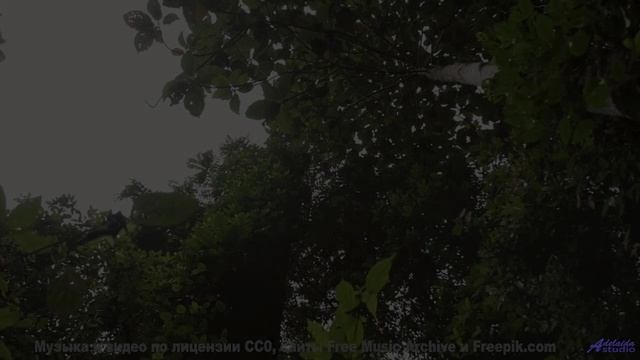Мелодия, которая лечит душу! - Бабушки -- Александр Недугин -- Министерва Любви