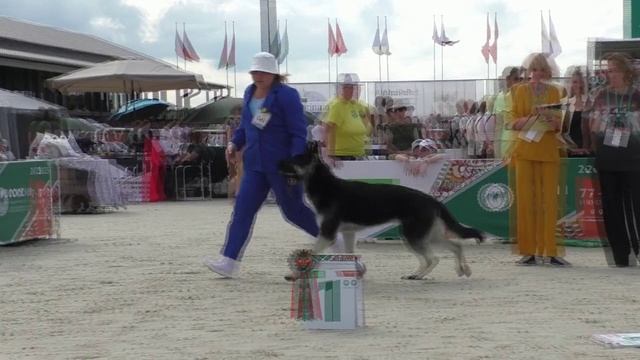 Жакар из Невского Десанта
