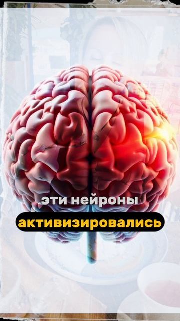 Почему тянет на сладкое?
