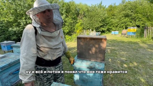 Пчеловодство изнутри. Часть 1