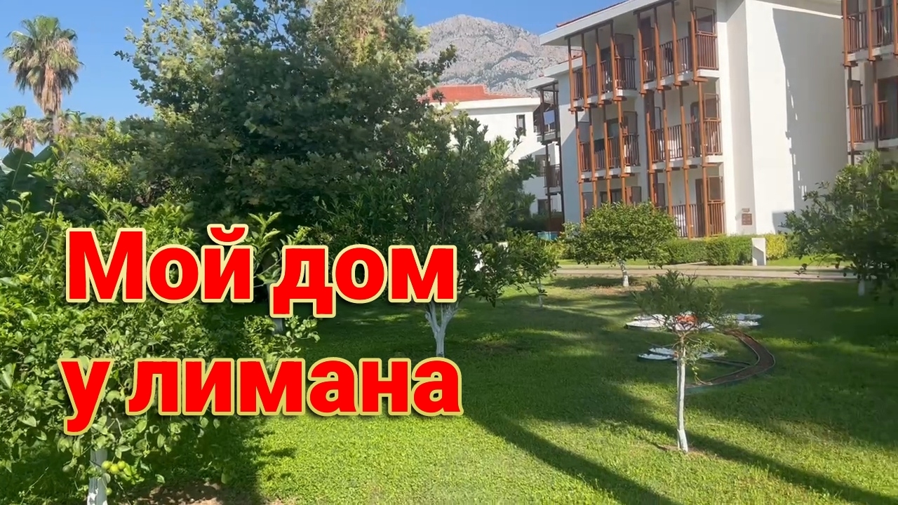 Мой дом у лимана. Парник для огурцов. Идем в Мегахенд. Ливень. Берег турецкий.
