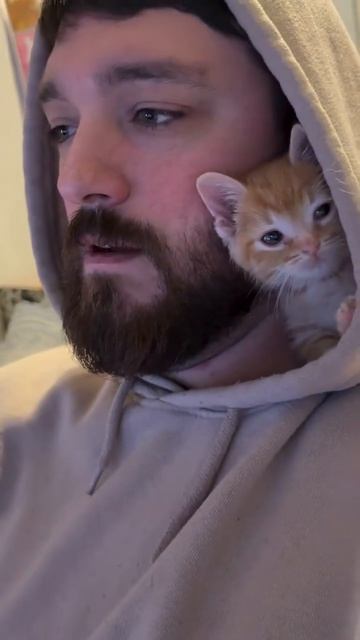 Удобное местечко❤️