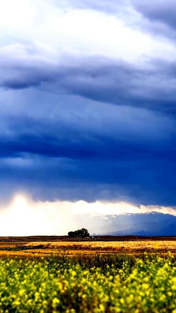 Внезапные моменты