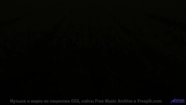 Линии полей и лесов соединяются в одном ритме - Skip Song -- A. A. Aalto -- Fest