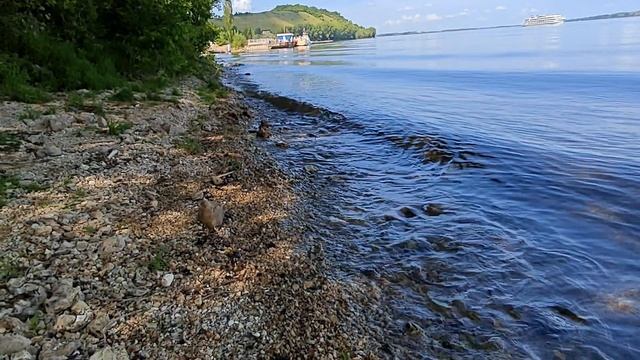 Теплоходы А.И.Герцен и Сергей Кучкин проходят мимо Винновки, Самарская область.
