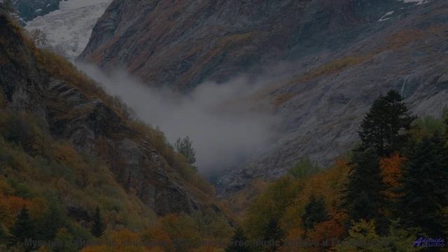 Музыка течёт сквозь поля, как река в сердце - Zebra -- A. A. Aalto -- Connections