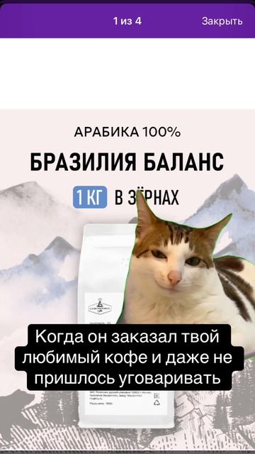 Твоя кошечка будет рада❤️