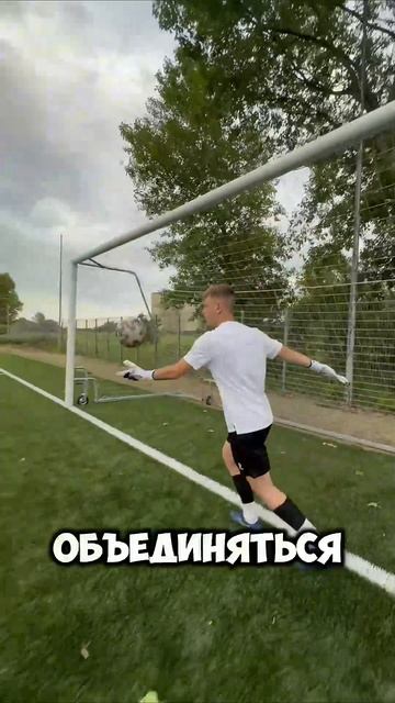 Чем они ещё похожи?
