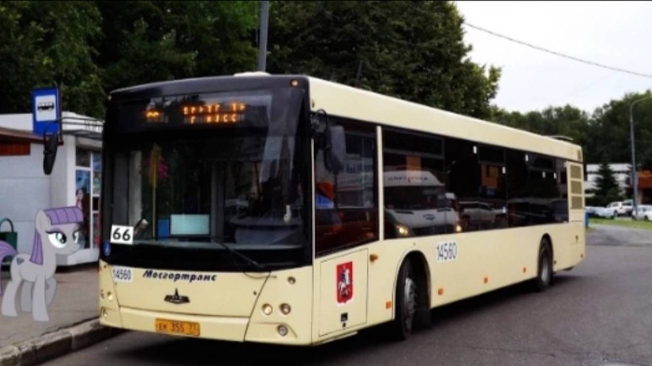 Поездка на автобусе МАЗ-203.067 № 14560 (011850) Маршрут № 66 Москва.