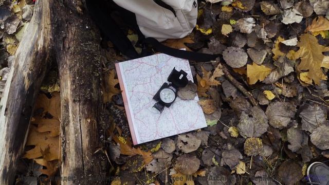 Поля и леса, когда музыка творит чудо - Early Flight -- One Man Book -- Ghosts + Echoes