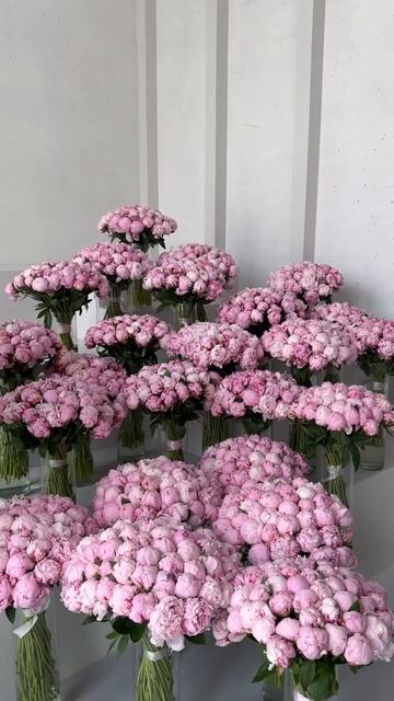 navoiflowers.ru