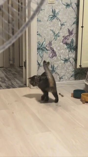 Игрушка собственного производства 😄