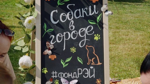 Фестиваль «Собаки в городе» 2025 (автор Сергей Томилин)