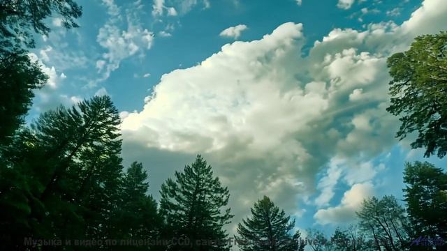 Мелодия и виды гипнотизируют сильнее любого сериала - I Remember -- Ranch House -- The Ranch House L