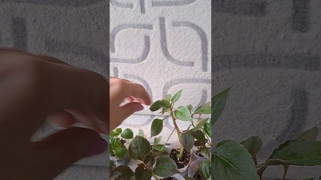 1000001912.mp4