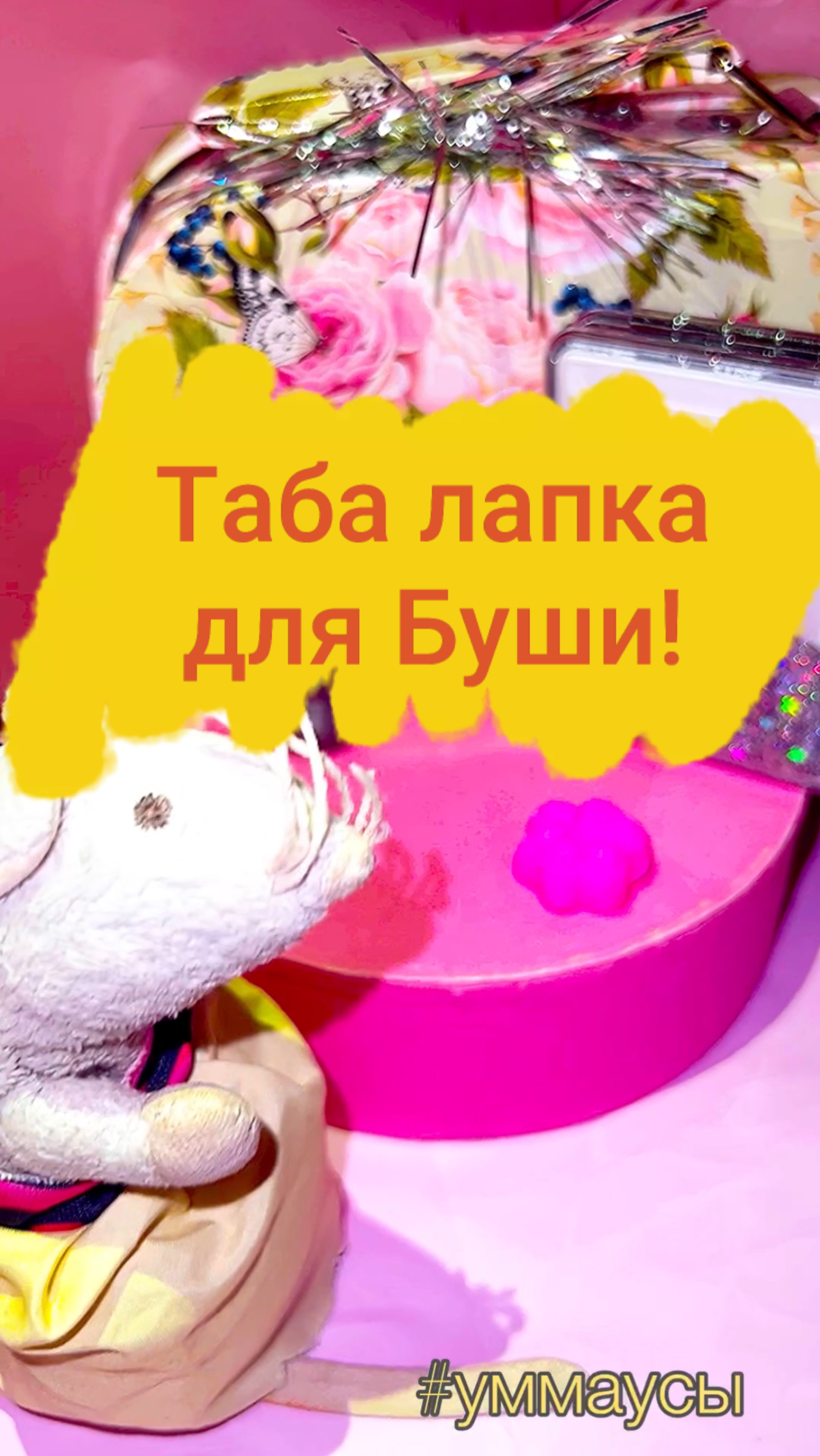 Мини ТАБА лапка специально для Буши!