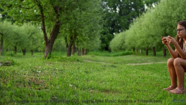 Музыка для цифрового воскрешения - где границы этики - Shines Through Trees -- Podington Bear -- Sai