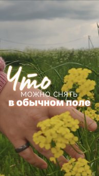 🎬 Как снять атмосферное видео в поле