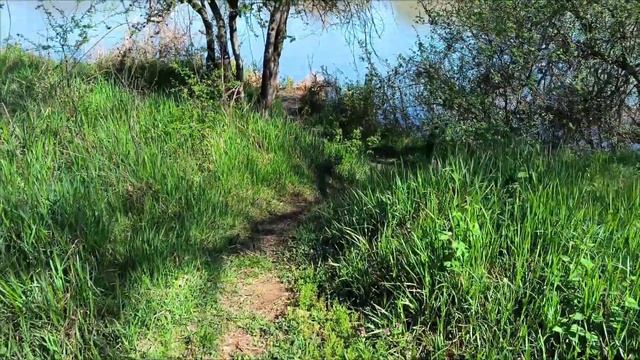 ДИКОЕ МЕСТО В КРАСНОДАРЕ НА РЕКЕ. Кемпер Паджеро спорт 2. #vanlife