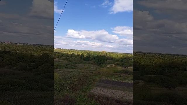 Липецкая область