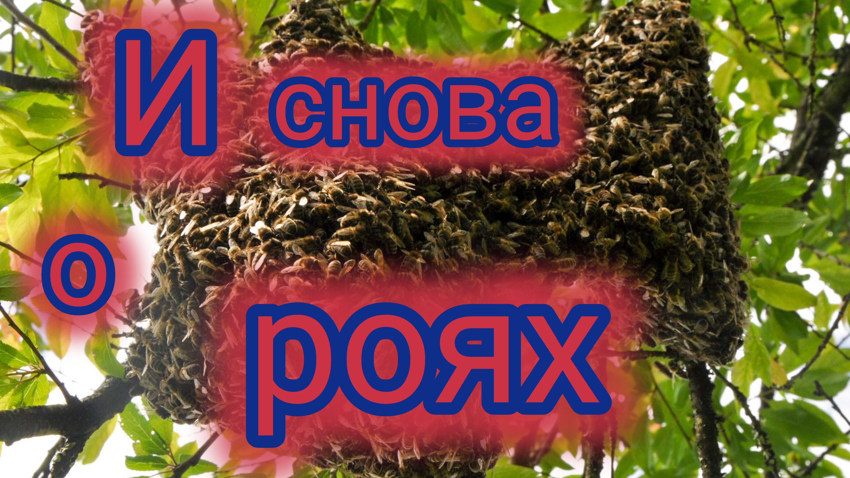 И снова о роях 🐝