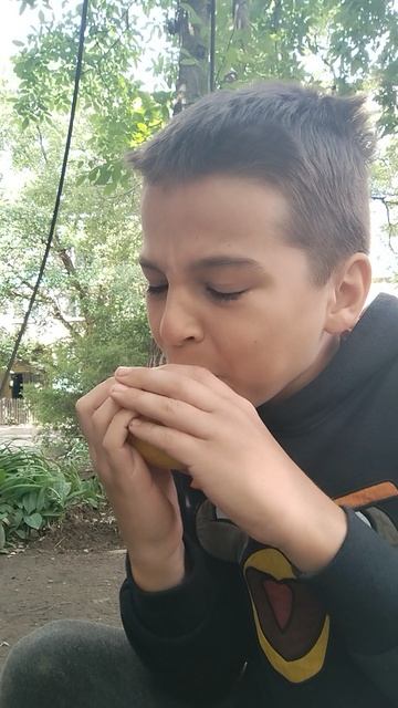 Едим золотое яблоко
