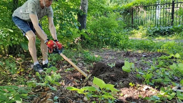 petal_20250616_183432.mp4