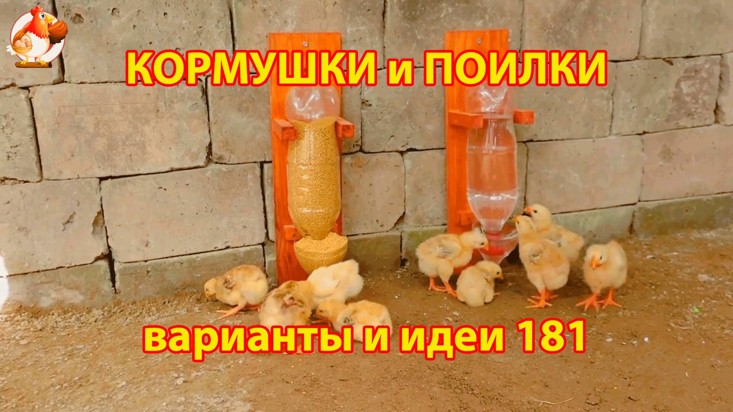 Кормушки и поилки для кур своими руками (181) 🪚✂️ Пошаговая инструкция как сделать 🐔 🐓❣️