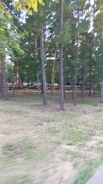 В парке на роликах