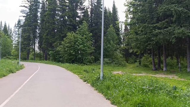 Прогулка в ЛЕСОПАРКЕ Пихтовые горы в июне 2015 года