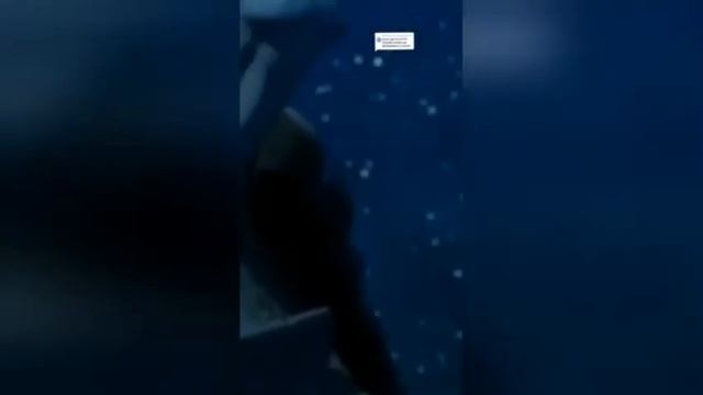 Подборка приколов #3