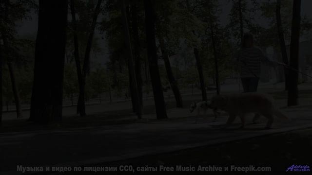 Музыка для тех, кто любит теряться на дорогах и находить друг друга - Feathered Bow -- Ayla Nereo --
