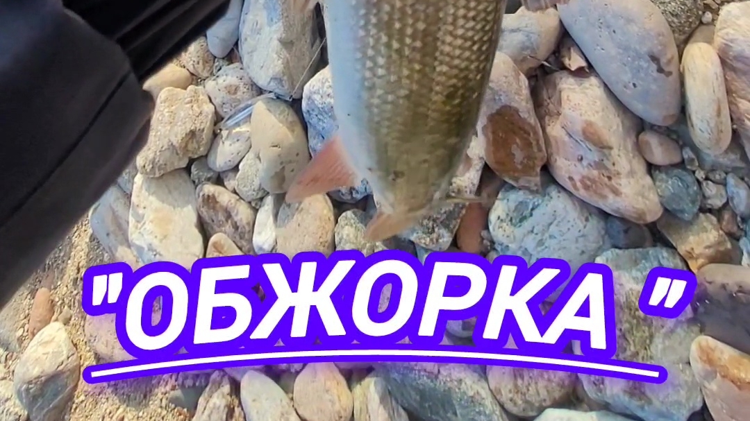 ОБЖОРКА  в работе (тестирование )