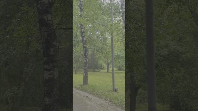 20250614_171726.mp4