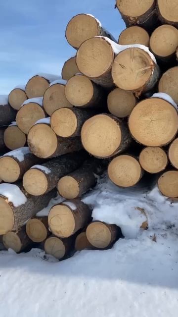 ПРОИЗВОДСТВО СРУБ СТРОЙ И ЗИМНИЙ ЛЕС