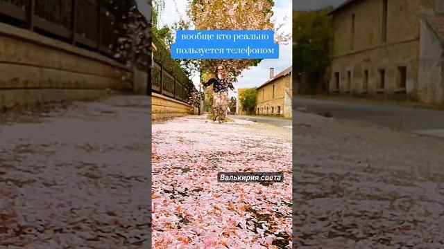 VID_20250615_231007_206.mp4