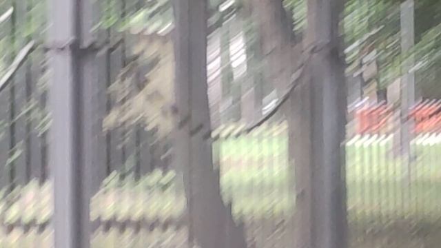 прогноз погоды от волшебника Ивана Ивановича