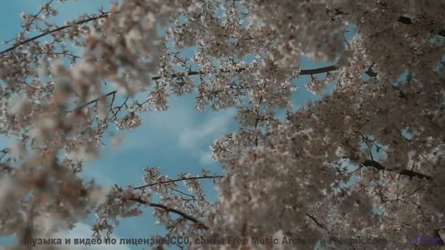 Музыка превращает кадры в личный полёт над землёй - Frantic Mandy -- Dr Sparkles -- Skip Winkley + t